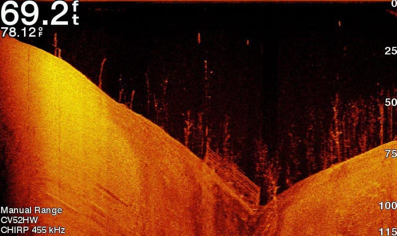 Clear Scanning Sonar