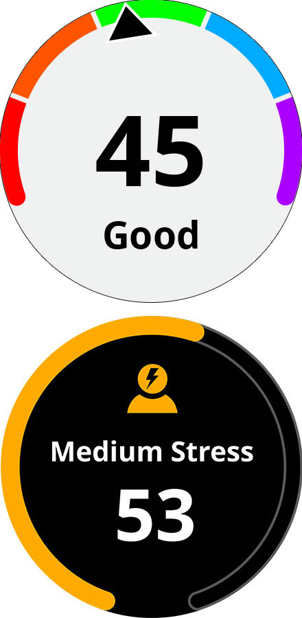 Daily Fitness and Stress Tracking