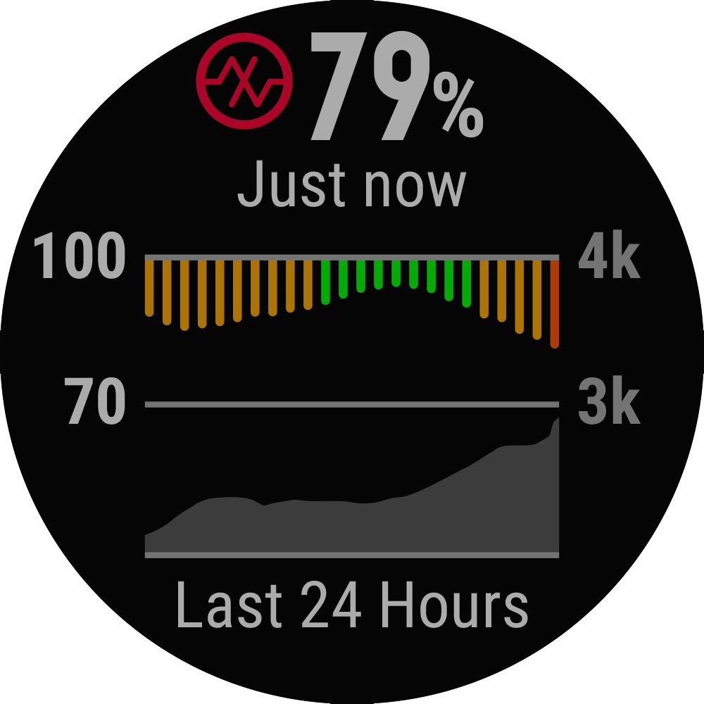 Garmin fenix 5 plus pulse online ox