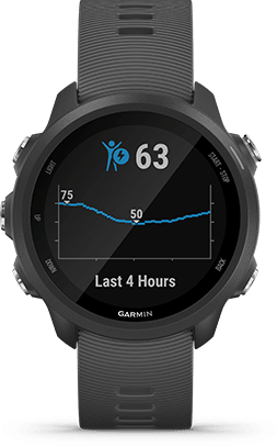 Garmin Forerunner 245 Running Watch