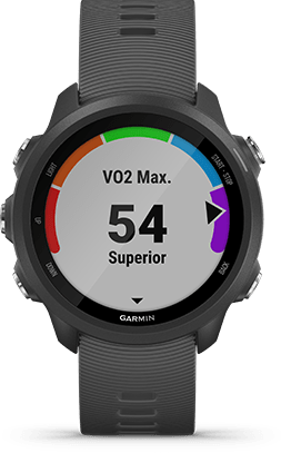 Garmin Forerunner 245 Running Watch