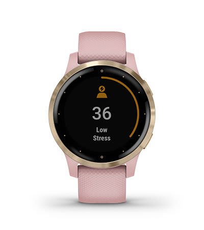 Garmin vivoactive 2024 4s stress tracking