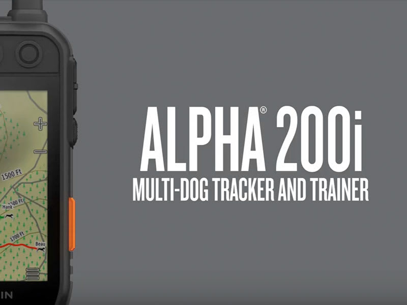 Garmin 010-02230-00 Alpha 200i  & TT 15 Bundle Tracking & Training Dog Device 