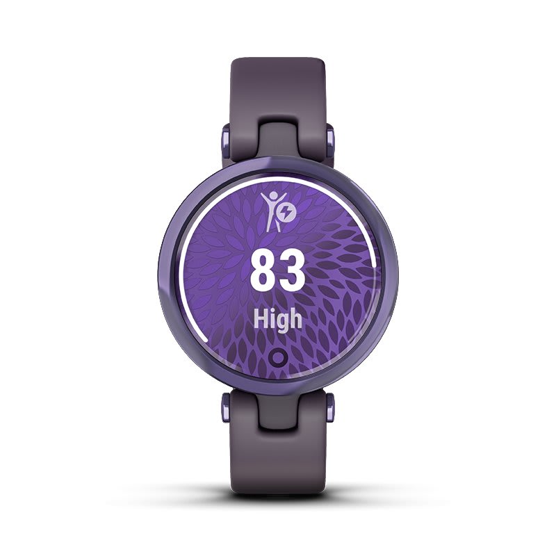 Smartwatch Garmin Lily para mujer