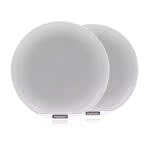 6.5” Sports Grey Chrome Tower Speaker, CRGBW LED