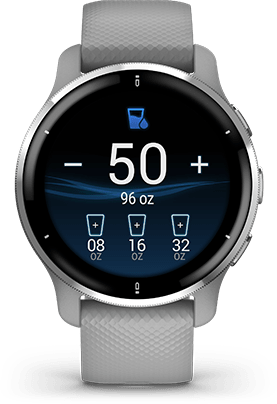 Garmin Venu 2 Plus Smartwatch - Gray for sale online