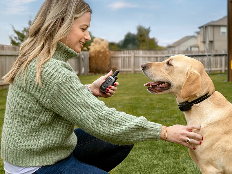 Garmin dog shock store collar