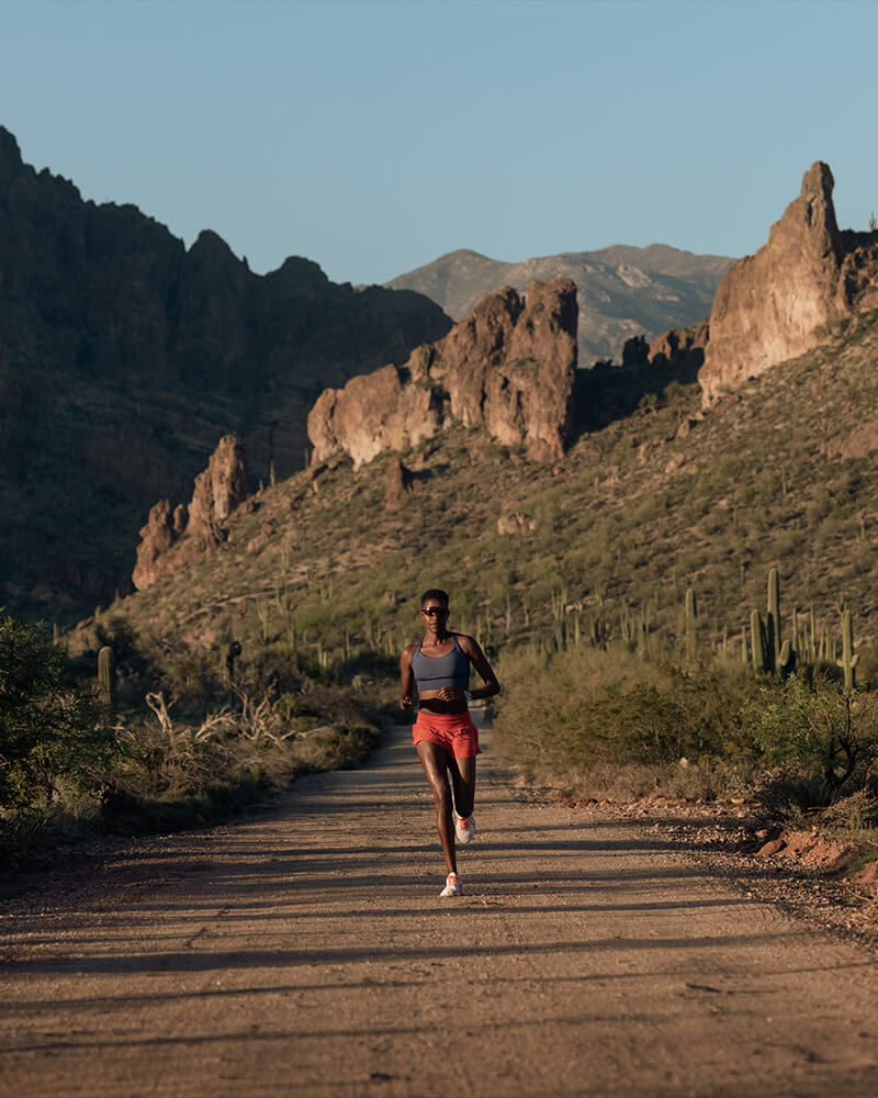 Garmin 2024 forerunner hiking