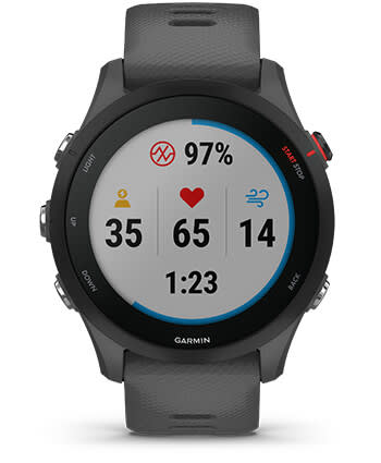 Montre connectée Garmin Forerunner 255 46 mm gris ardoise