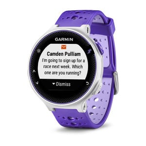 Garmin forerunner 2024 230 features