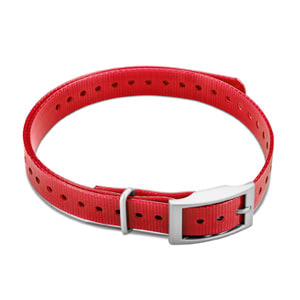 3/4" Square Buckle Collar Strap (Red)