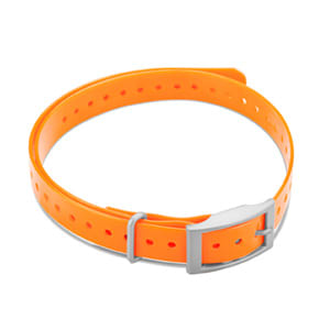 3/4" Square Buckle Collar Strap (Orange)