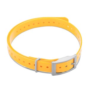 3/4" Square Buckle Collar Strap (Yellow)