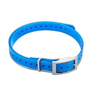 3/4" Square Buckle Collar Strap (Blue)