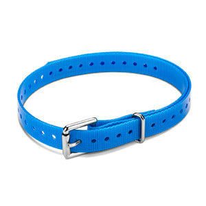 3/4" Roller Buckle Collar Strap (Blue)