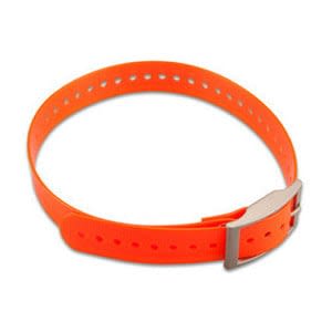 1-inch Collar Strap - Orange