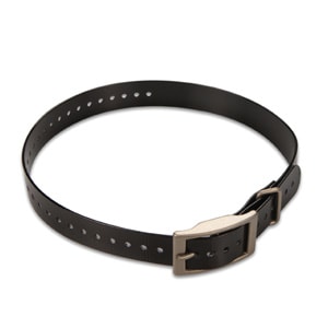 1-inch Collar Strap - Black