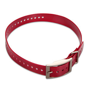 1-inch Collar Strap - Red
