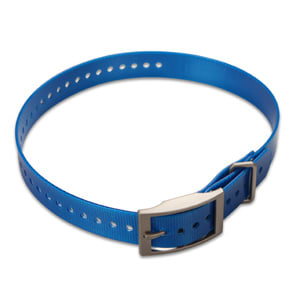 1-inch Collar Strap - Blue