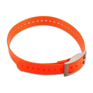Small 1-inch Collar Strap - Orange