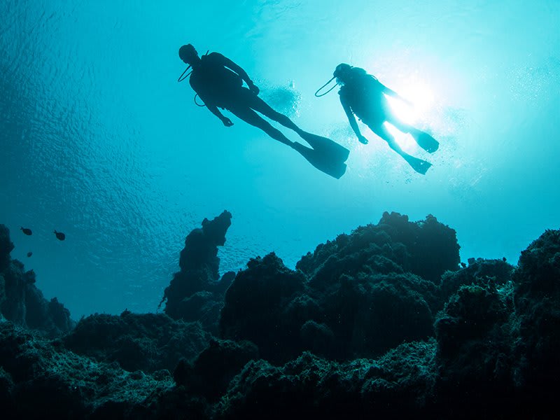 Cùng khám phá thế giới dưới nước với Garmin Dive App và lưu lại những khoảnh khắc đầy thú vị của bạn. Ứng dụng sẽ giúp bạn lưu trữ và chia sẻ những trải nghiệm đáng nhớ khi lặn. Hãy sử dụng ứng dụng này để thu thập những kiến ​​thức và trải nghiệm mới nhất về việc lặn.