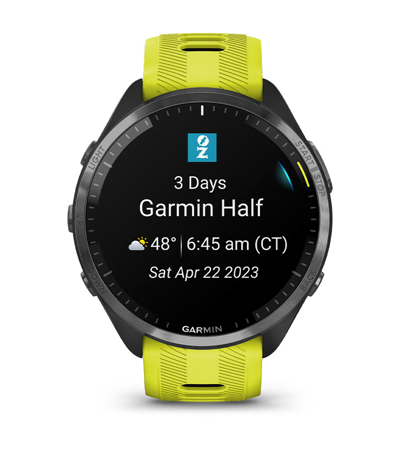 Garmin Forerunner 965 Black/Powder Gray Smartwatch