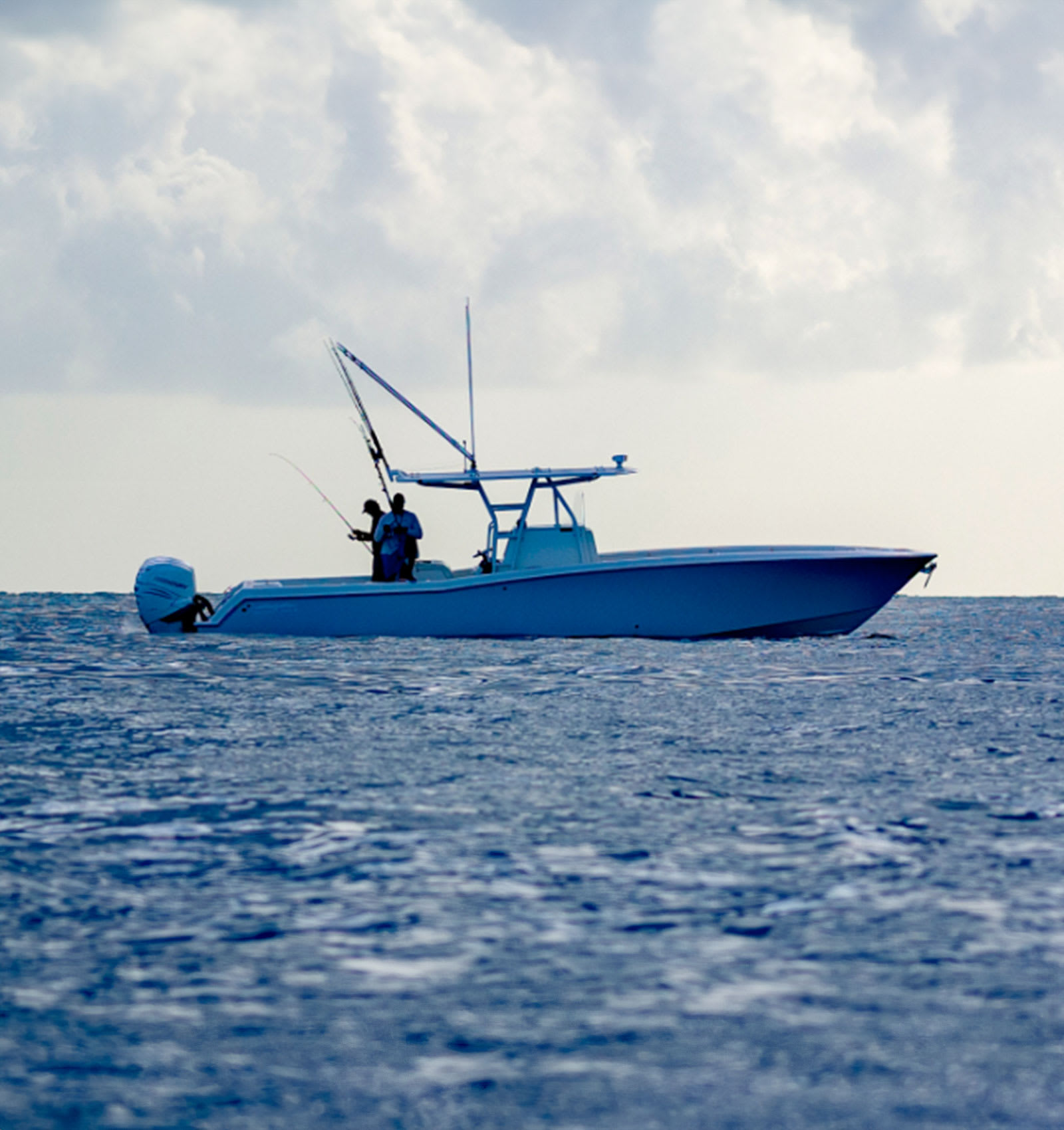 Navionics Web API Developer Request | Garmin