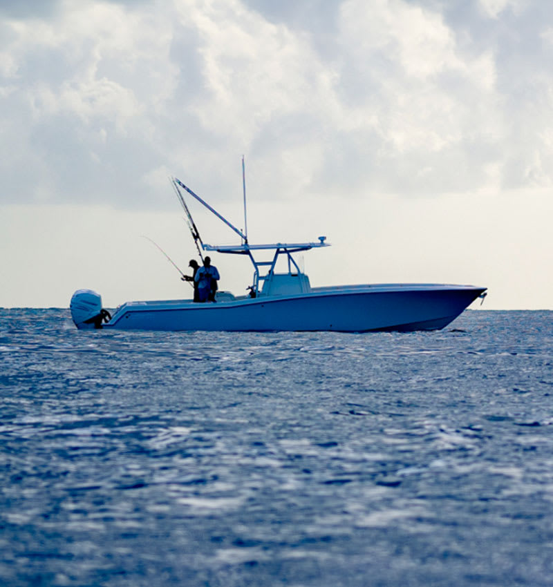 Navionics Web API Developer Request | Garmin
