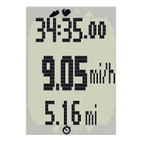 FR60 Garmin