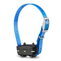 Garmin pt10 collar online