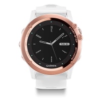 Garmin fenix 3 clearance gold
