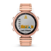 Garmin fenix 5s plus gold best sale