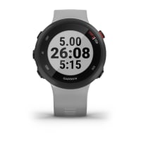 Garmin Forerunner 45 Plus L beur