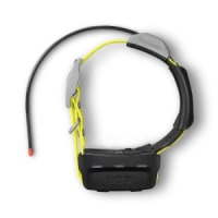 Which garmin watch tracks dogs best sale