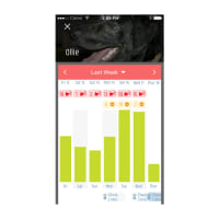 Garmin Canine Dog Training App