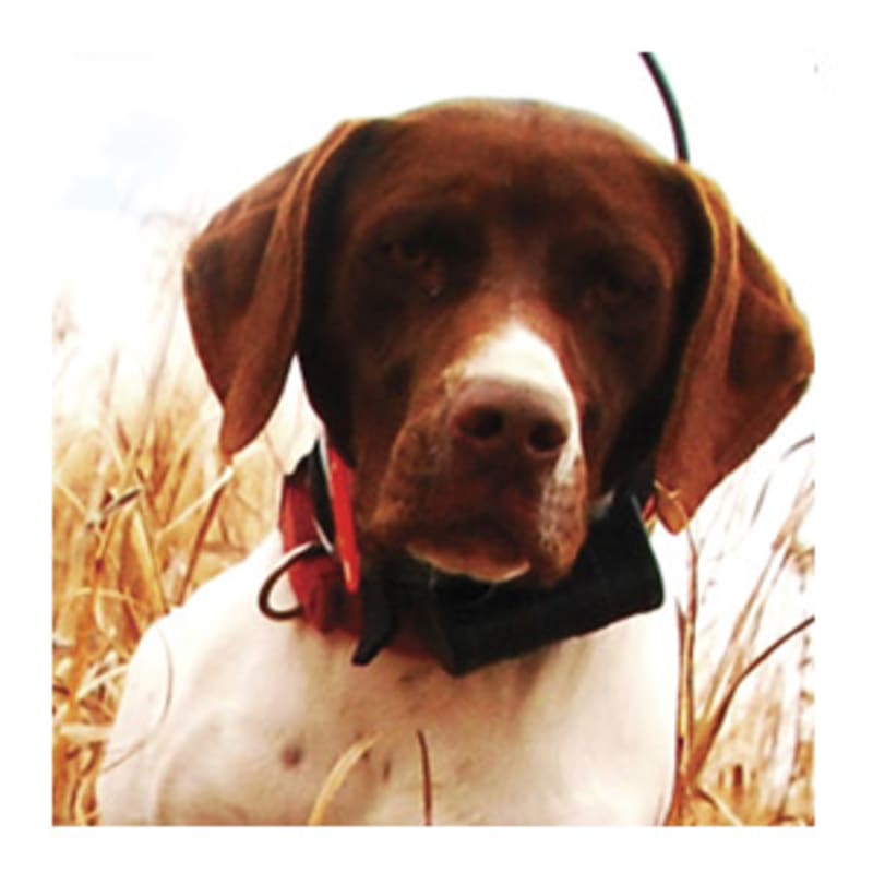 Astro® 220 | Garmin Astro® 220 | Garmin