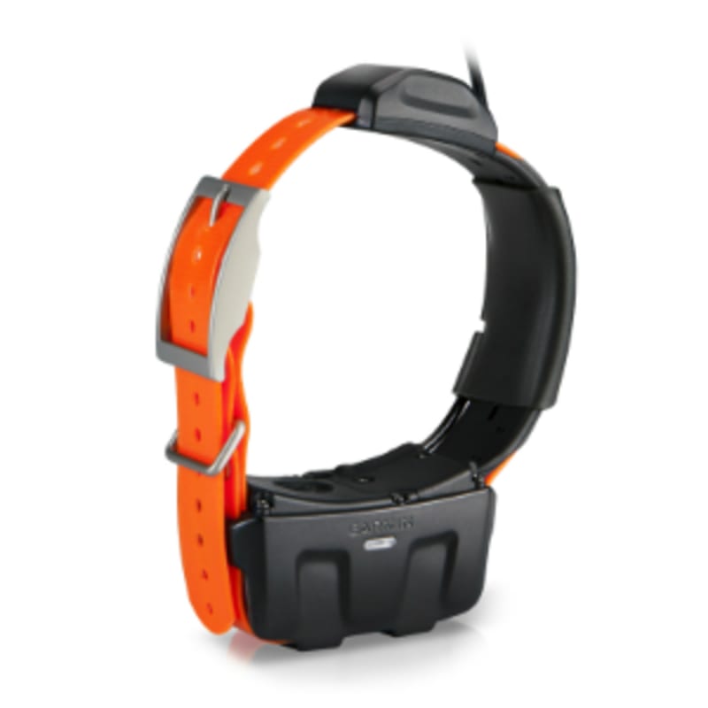 Garmin discount dc50 collars