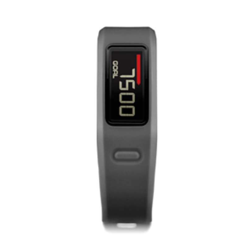Garmin hot sale vivofit slate