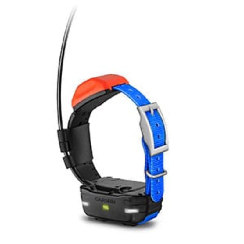 T5 dog collar store