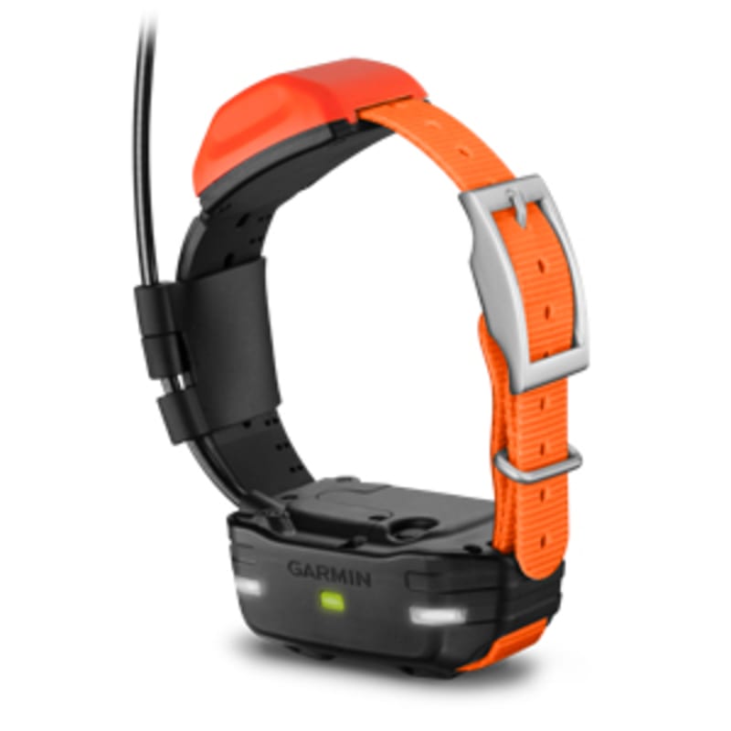 Garmin Collar de perro con GPS T5