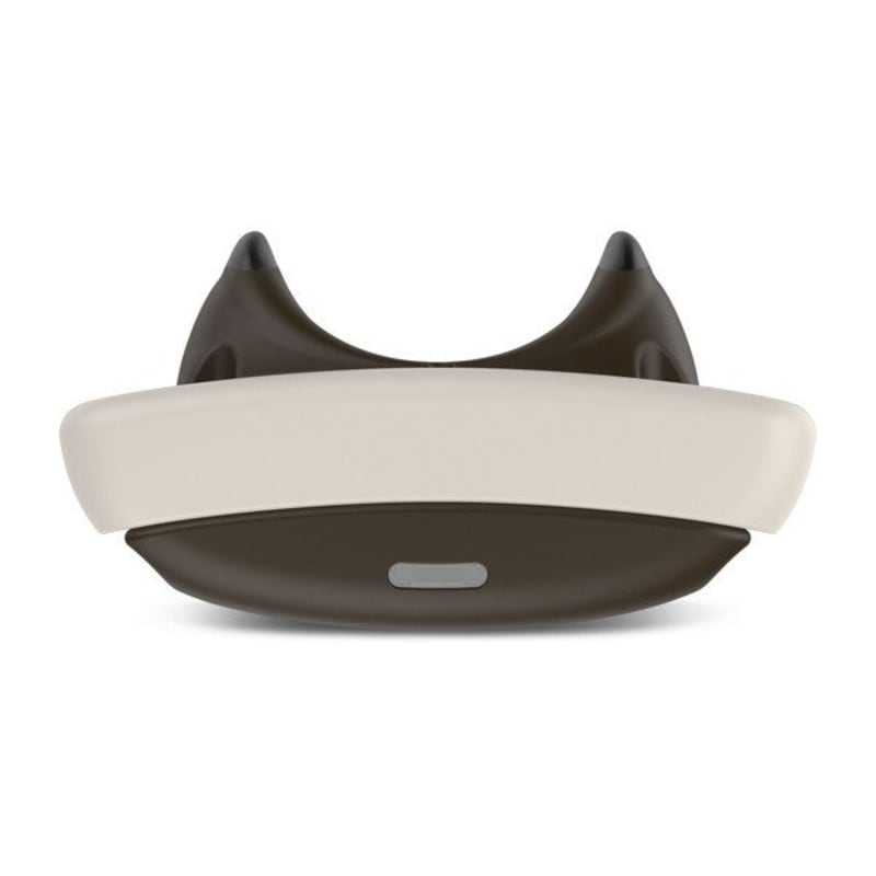 Garmin dog trainer clearance