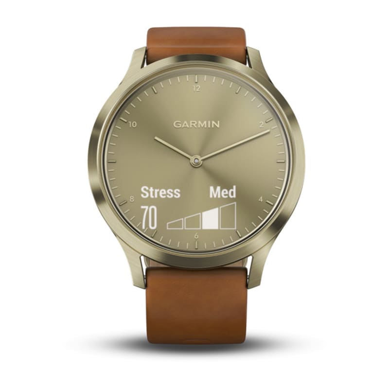 Vivomove 2019 online