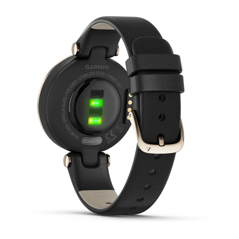 Smartwatch garmin lily 2025