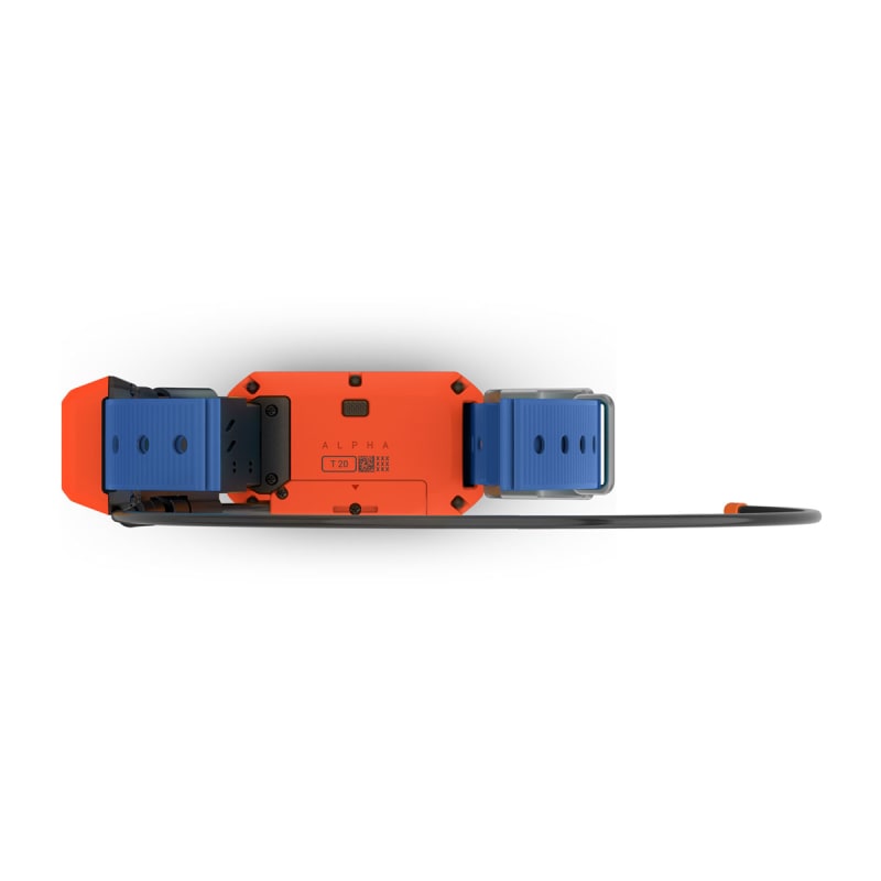 Garmin alpha dog collar outlet
