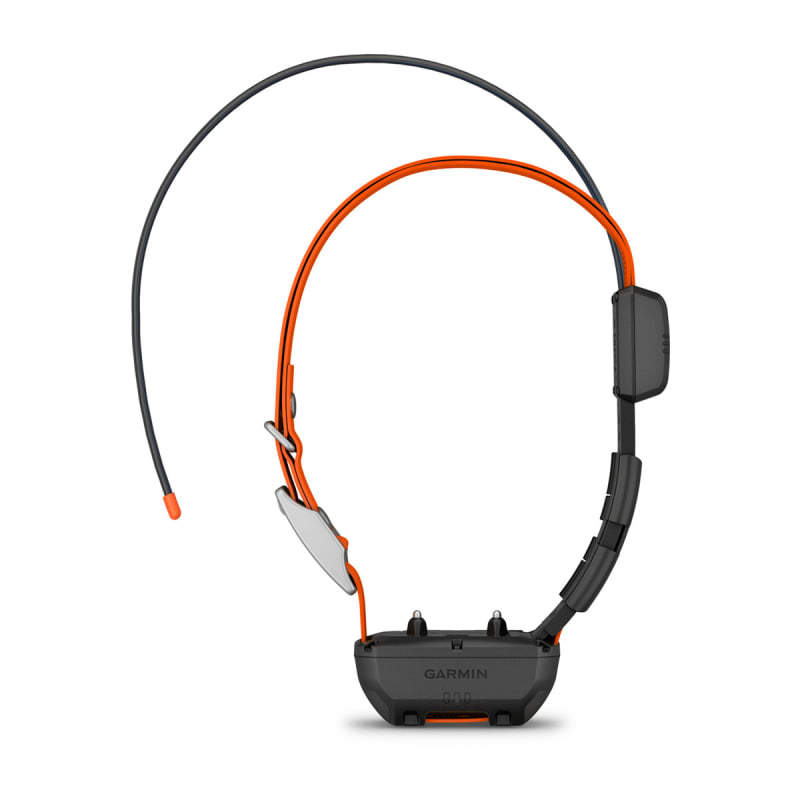 Garmin fenix dog track clearance