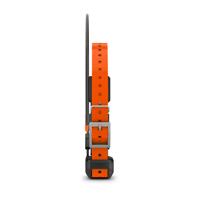 Garmin sales alpha tt