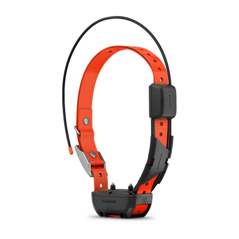 Garmin pet collar store