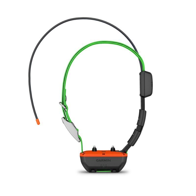 Dog gps training collar sales
