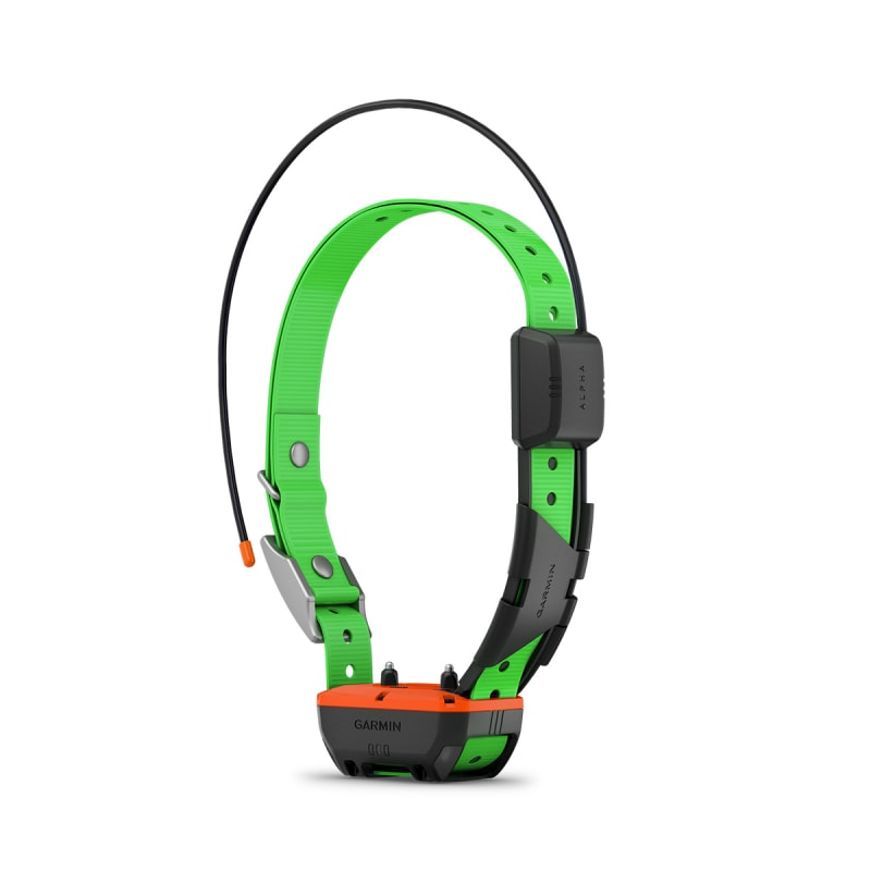 Garmin tt5 tracking collar on sale