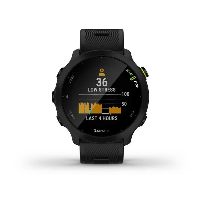 Garmin Forerunner 55  Detalles y primera información - Correr una